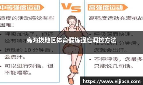 快盈VII