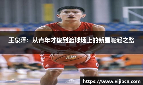 王泉泽：从青年才俊到篮球场上的新星崛起之路